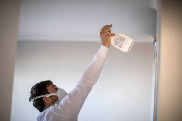 Water Damage Restoration in Camp Point, IL