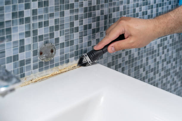 Best Emergency Mold Removal  in Camp Point, IL