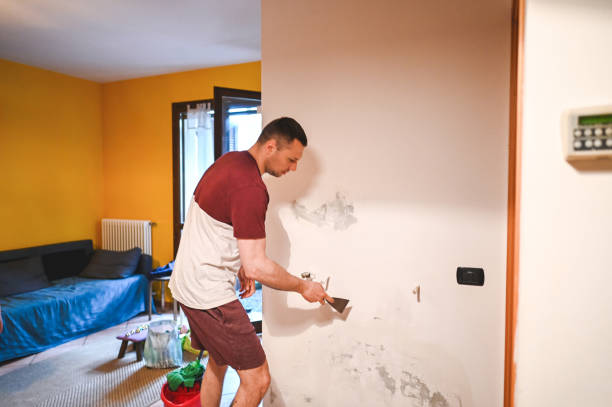 Best Affordable Mold Removal  in Camp Point, IL